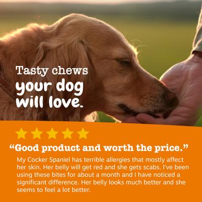 Zesty Paws, Ancient Elements Aller Immune Bites para Perros, sabor Bisonte. 90 chews.