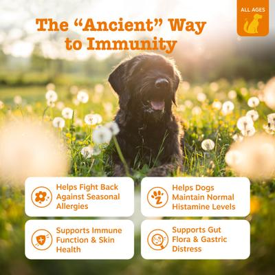 Ancient Elements Aller-Immune Bites Bison Flavored Soft Chews Allergy & Immune Supplement for Dogs, 90 count