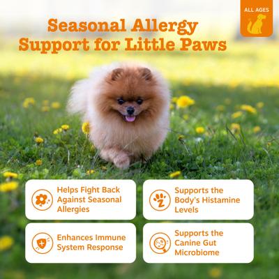 Allergy & Immune Mini Bites Lamb Flavored Soft Chew Allergy & Immune Supplement for Small Dogs, 90 count