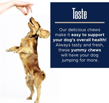 Stool Eating Deterrent Soft Chew Supplement for Dogs, 240 count