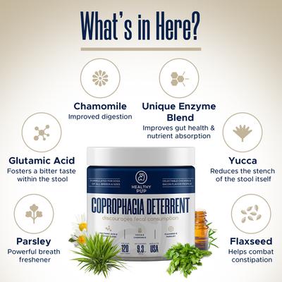 Stool Eating Deterrent Soft Chew Supplement for Dogs, 240 count