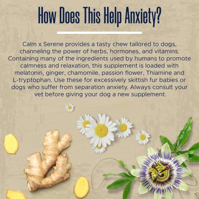 Combo Pack Anxiety Chicken Soft Chews Calming Supplement for Dogs, 120 count