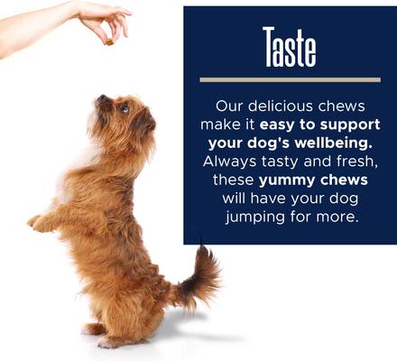 Anxiety Soft Chews Calming Supplement for Dogs, 60 Count