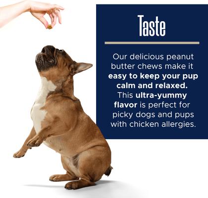 Calming Peanut Butter Bliss Dog Supplement, 60 count