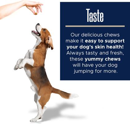 Omega Soft Chews Skin & Coat Supplement for Dogs, 180 Count