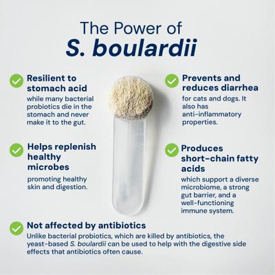 S. boulardii + FOS Powder Supplement for Dogs & Cats, 60g bag