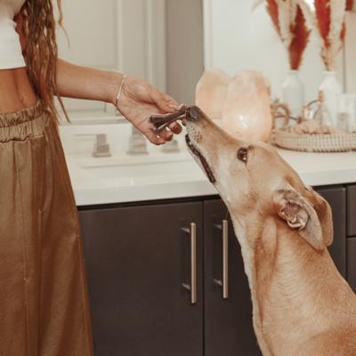 Large Dental Dog Treats, 12 count