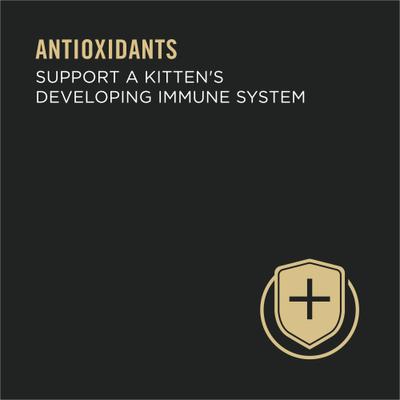 Classic Salmon & Tuna Grain-Free Kitten Entree Canned Cat Food, 3-oz, case of 24