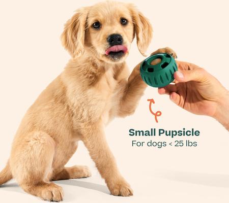 Starter Pack Chicken & Peanut Butter Flavored Treats, Silicone Mold & Pupsicle Dog Toy, Small