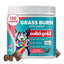 Grass Burn Lawn Protection Soft Chews Urine Neutralizer Supplement for Dogs, 120 count