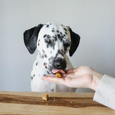 Edibites Digestive Releaf Organic Sweet Potato Flavored Chew Full Spectrum Hemp Extract Digestive Health Supplement for Medium & Large Dogs, 30 count