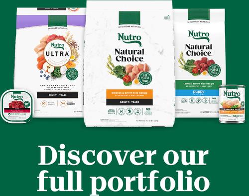 Grain-Free Tender Chicken Stew & Roasted Turkey Stew Cuts in Gravy Variety Pack Wet Dog Food Trays, 3.5-oz can, case of 12