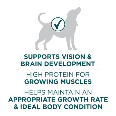 +Plus Natural Large Breed Formula Dry Puppy Food, 31.1-lb bag