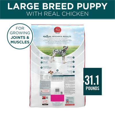 +Plus Natural Large Breed Formula Dry Puppy Food, 31.1-lb bag