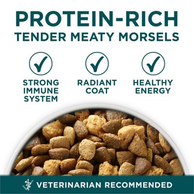 Paquete: alimento seco Purina ONE SmartBlend para cachorros de razas grandes + premios de entrenamiento suaves y masticables sin cereales con receta de carne de res American Journey