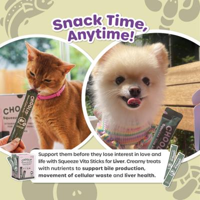 Squeeze Vita Stick Grab n Go Liver Support Lickable Dog & Cat Treats, 49 count