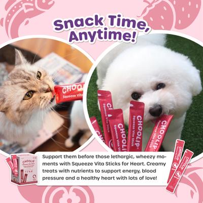 Squeeze Vita Stick Grab n Go Heart Support Lickable Dog & Cat Treats, 49 count