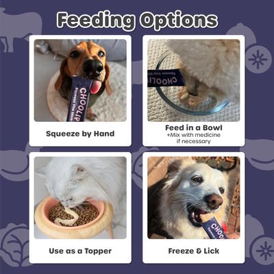 Squeeze Vita Stick Grab n Go Brain Support Lickable Dog & Cat Treats, 49 count