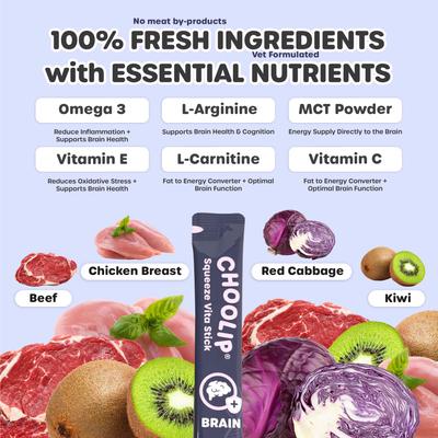 Squeeze Vita Stick Grab n Go Brain Support Lickable Dog & Cat Treats, 49 count