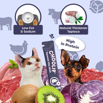 Squeeze Vita Stick Grab n Go Brain Support Lickable Dog & Cat Treats, 49 count