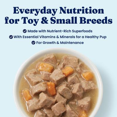 Mighty Mini Lamb, Sweet Potato & Cranberry Toy & Small Breed Recipe Grain-Free Dog Food Tray, case of 12