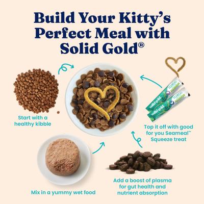 Tropical Blendz with Salmon & Coconut Oil Pate Grain-Free Canned Cat Food, 3-oz, case of 12