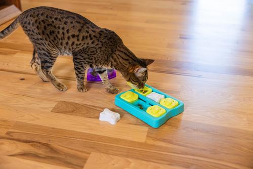 by Nina Ottosson Purrfect Bitez Real WhiteFish Flavor Natural Crunchy Cat Treats, 4-oz bag