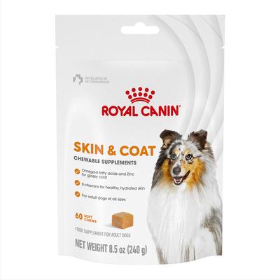 Skin & Coat Support Soft Chews Supplement for Adult Dogs, 60 count