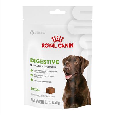 Digestive Support Soft Chews Supplement for Adult Dogs, 60 count, bundle of 4