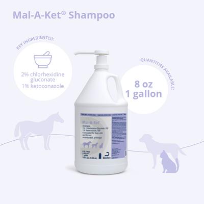Champú para perros, gatos y caballos, botella de 1 galón