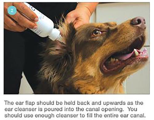 Plus TrizEDTA Flush for Dogs & Cats, 12-oz bottle