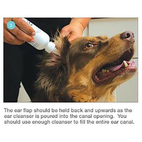 Plus TrizEDTA Flush para perros y gatos, botella de 12 oz