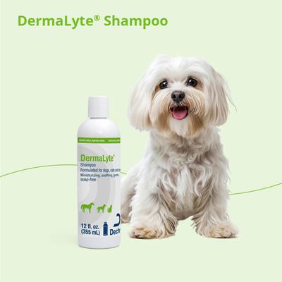 Shampoo for Dogs, Cats & Horses, 12-oz bottle