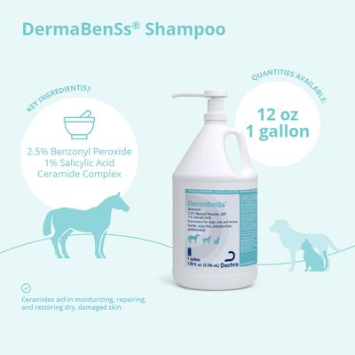 Shampoo for Dogs, Cats & Horses, 1-gallon bottle
