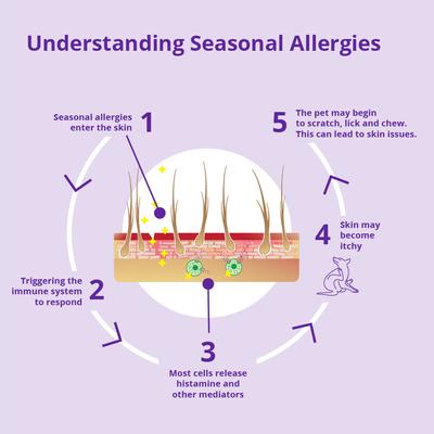 Ultra Soft Chews Allergy Supplement for Dogs, 100-mg, 120 count