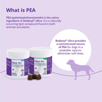 Ultra Soft Chews Allergy Supplement for Dogs, 100-mg, 120 count