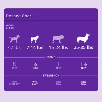 Ultra Soft Chews Allergy Supplement for Dogs, 100-mg, 120 count