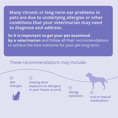 Plus TrizEDTA Flush for Dogs & Cats, 12-oz bottle