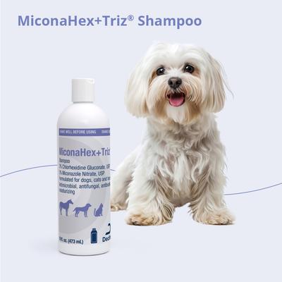 Shampoo for Dogs & Cats, 16-fl oz bottle