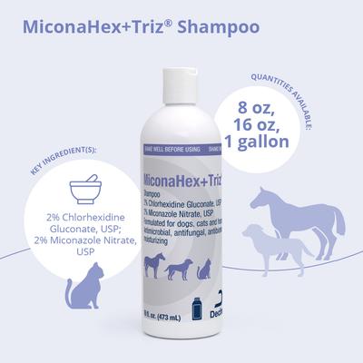 Shampoo for Dogs & Cats, 16-fl oz bottle