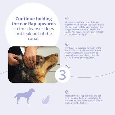 Flush for Dogs & Cats, 4-fl oz bottle