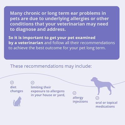 Flush para perros y gatos, botella de 4 onzas líquidas