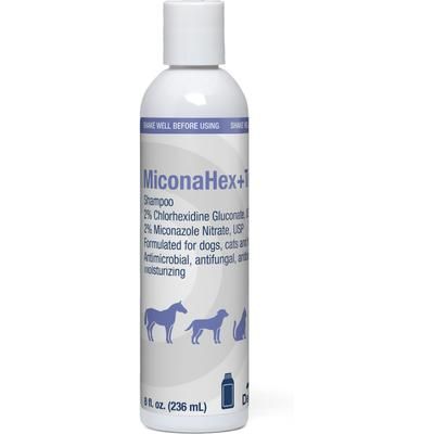 Champú para perros y gatos, botella de 16 onzas líquidas