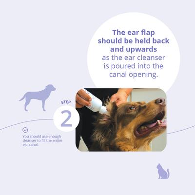 Flush for Dogs & Cats, 4-fl oz bottle