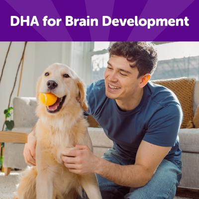 Rewarding Life Beef & Turkey Grain-Free Soft & Chewy Natural Dog Treats, 6-oz bag