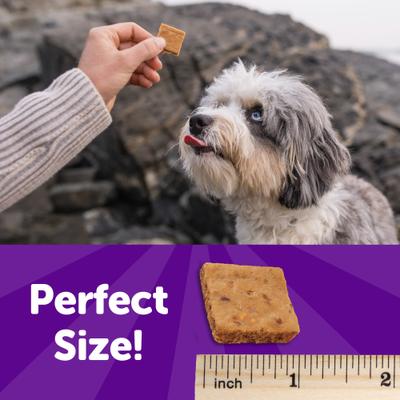 The Rewarding Life Turkey & Duck Soft & Chewy Dog Treats, 6-oz bag