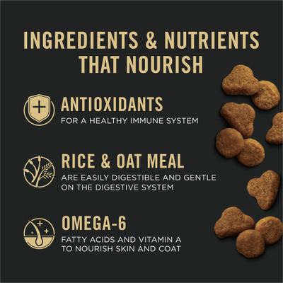 Alimento seco para gatos mayores con piel y estómago sensibles, fórmula de salmón y arroz, bolsa de 3.5 lb