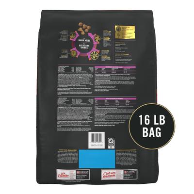 Alimento seco para gatos adultos con piel y estómago sensibles, fórmula de salmón y arroz, bolsa de 16 lb