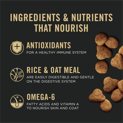 Alimento seco para gatos adultos con piel y estómago sensibles, fórmula de salmón y arroz, bolsa de 16 lb