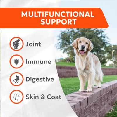 Cosequin Joint Health with Multifunctional Support Soft Chews Supplement for Dogs, 90 count
